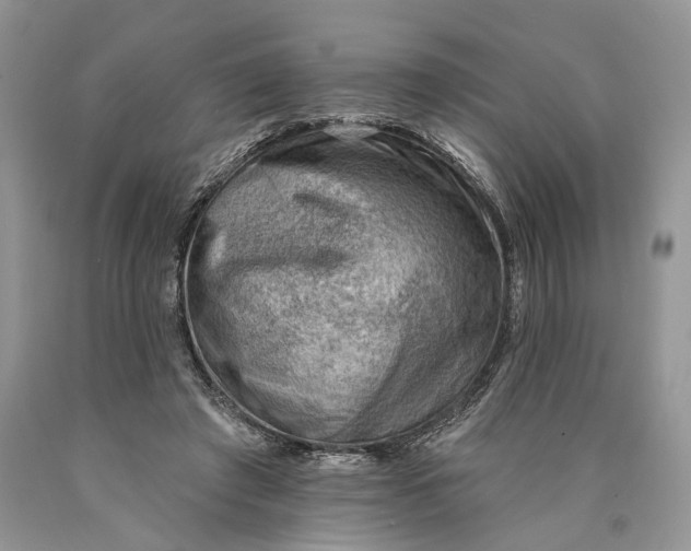 X0000089910401200707201800