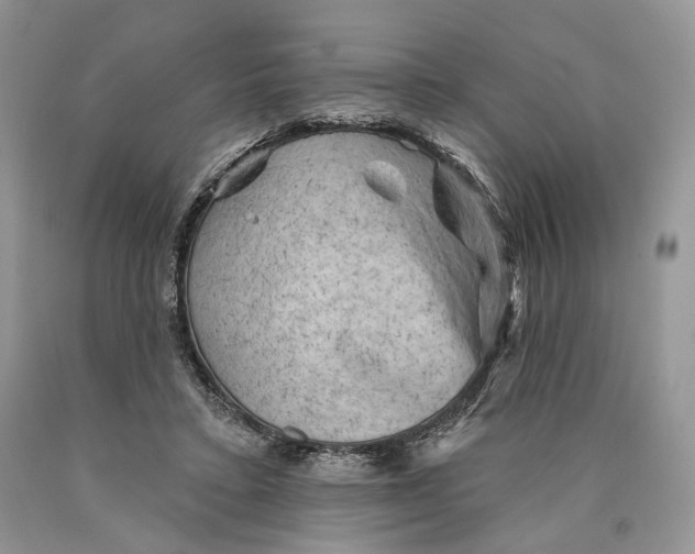 X0000089910403200707201800