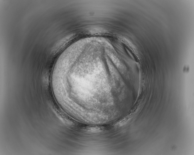 X0000089910405200707201800