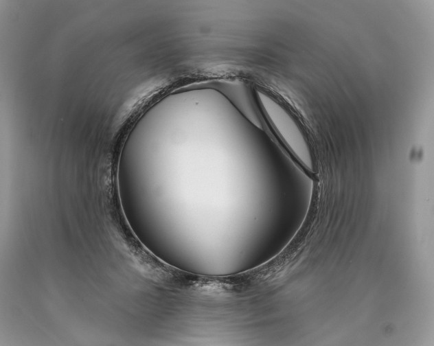 X0000089910407200707201800