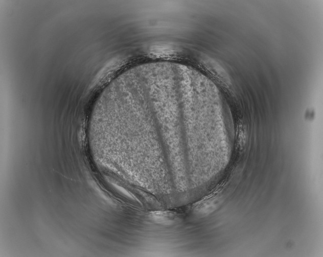 X0000089910408200707201800