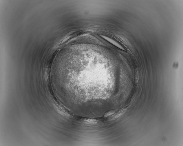 X0000089910409200707201800