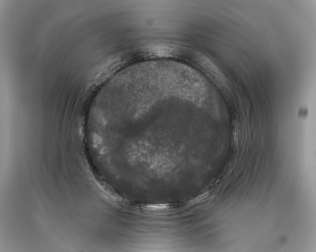 X0000089910410200707201800