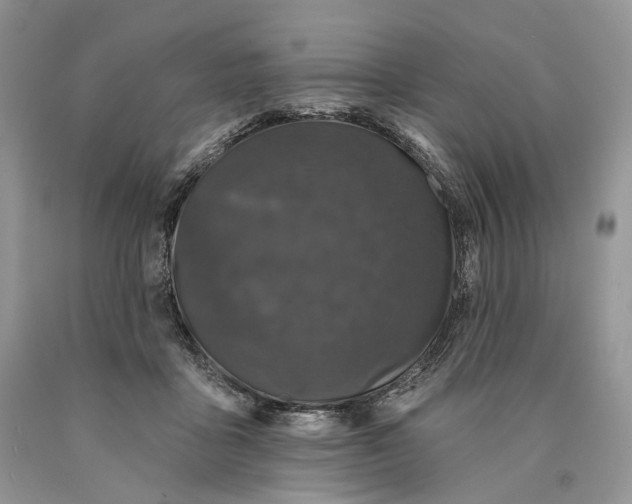 X0000089910411200707201800