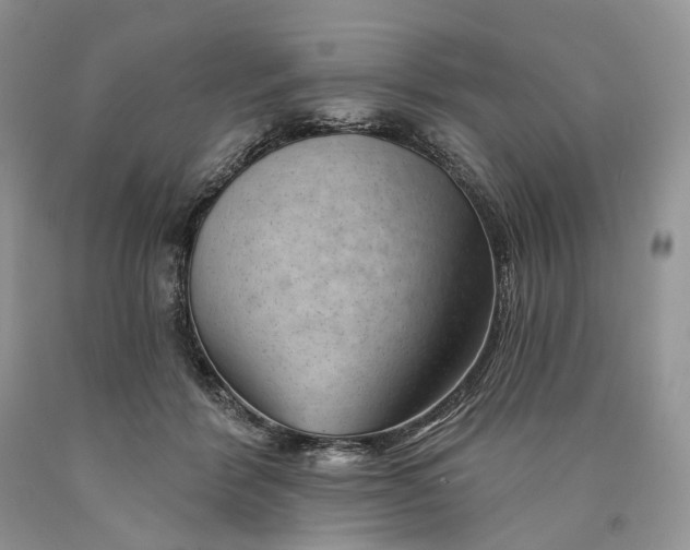 X0000089910412200707201800