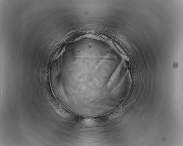 X0000089910413200707201800