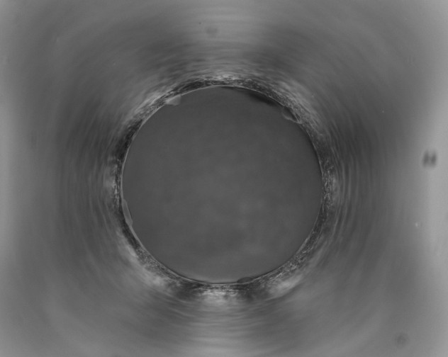 X0000089910415200707201800