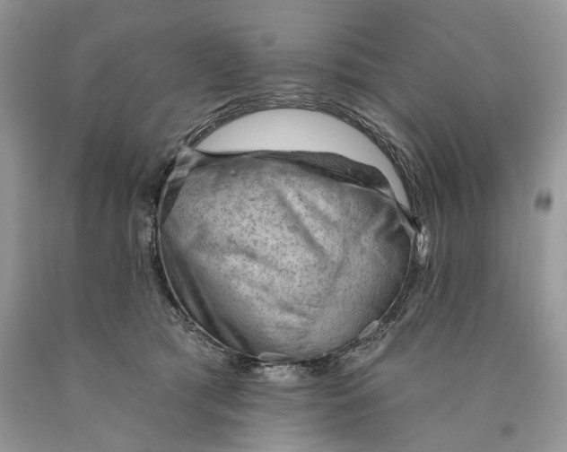 X0000089910417200707201800