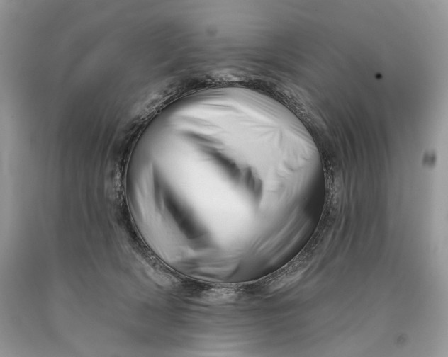 X0000089910418200707201800