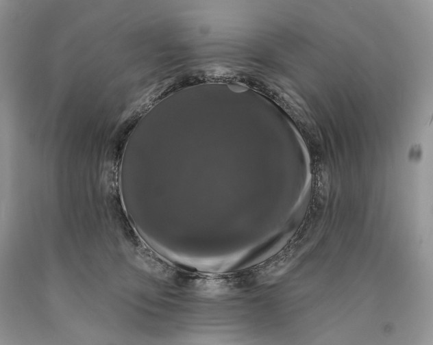 X0000089910419200707201800