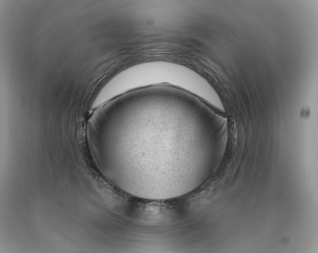 X0000089910420200707201800