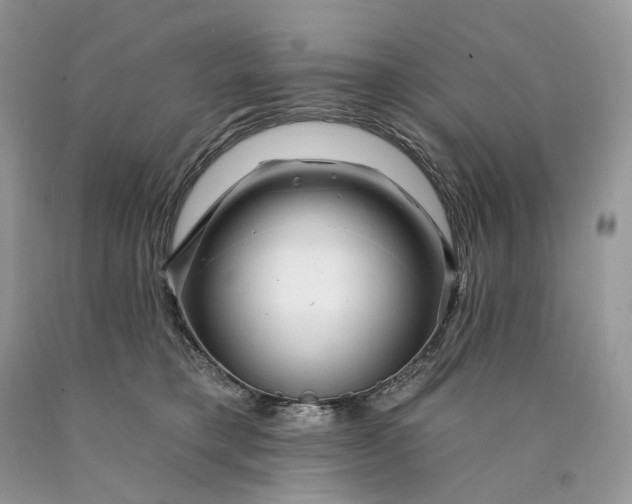 X0000089910421200707201800