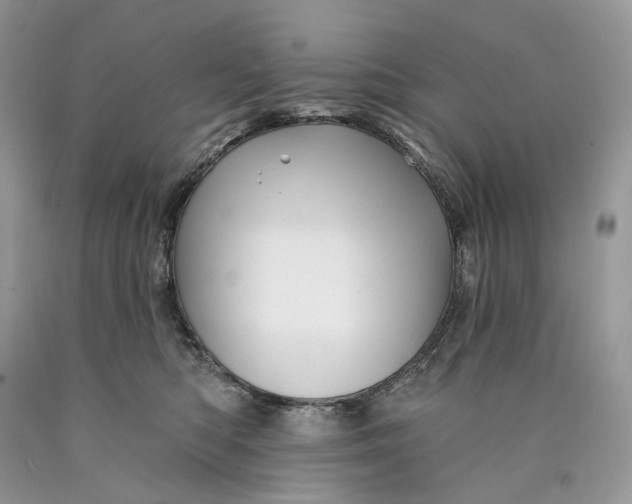 X0000089910422200707201800