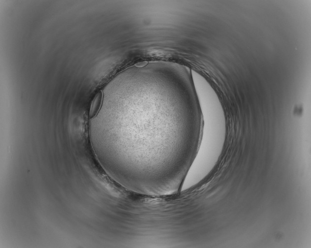 X0000089910424200707201800