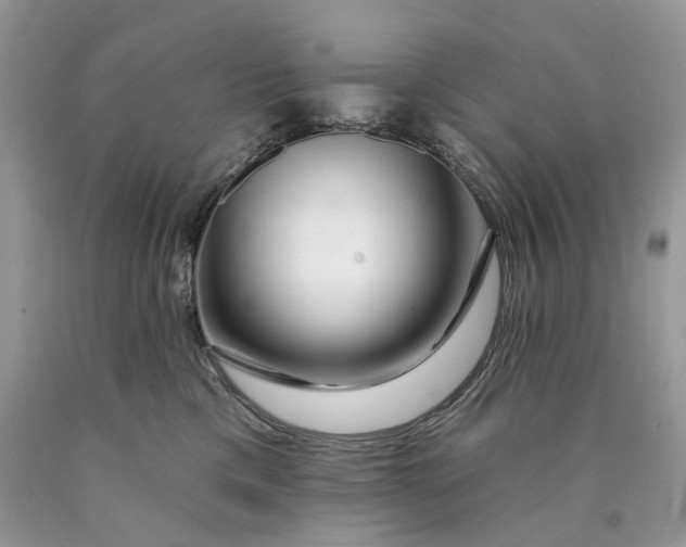 X0000089910425200707201800