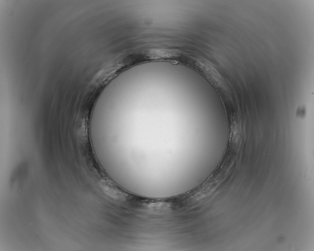 X0000089910426200707201800