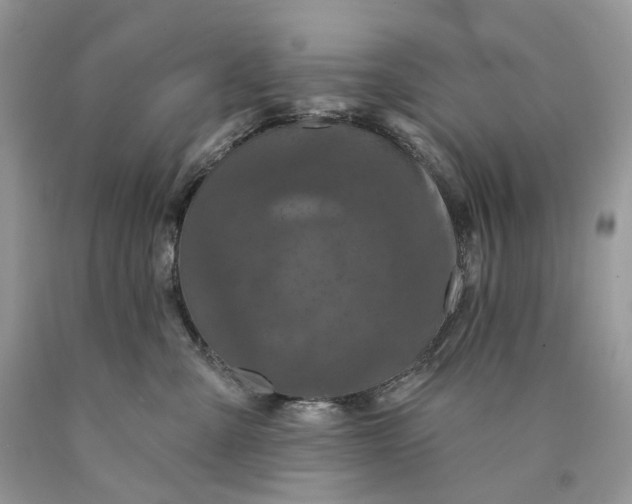 X0000089910427200707201800