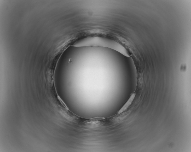 X0000089910428200707201800