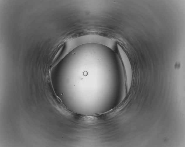 X0000089910429200707201800