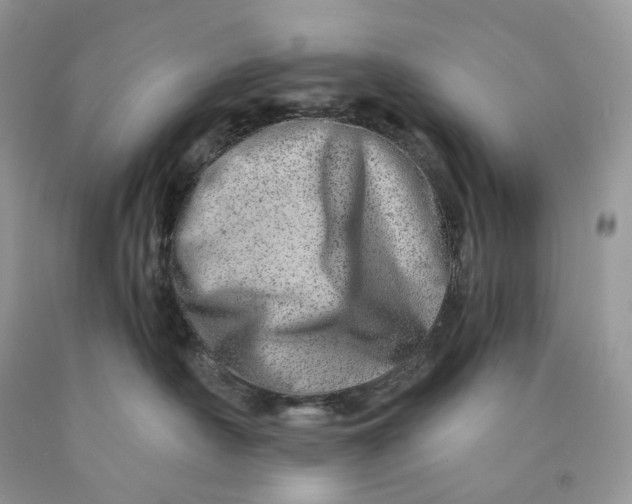 X0000089910430200707201800