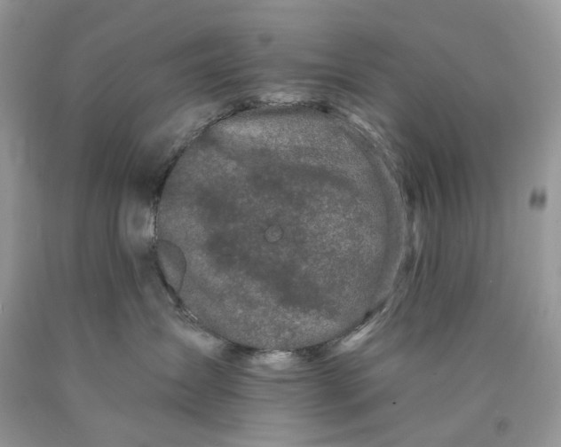 X0000089910431200707201800