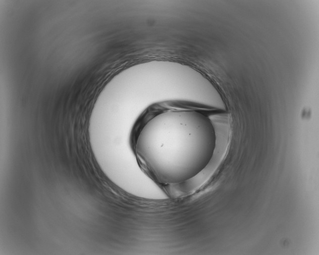 X0000089910432200707201800