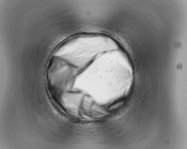 X0000089910433200707201759