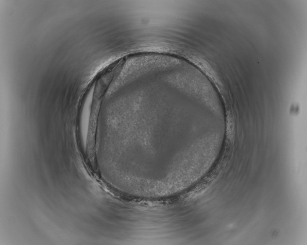 X0000089910434200707201759