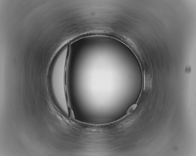 X0000089910435200707201759