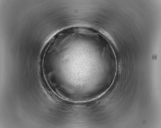 X0000089910436200707201759