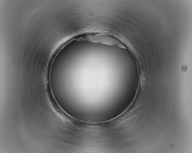 X0000089910438200707201759
