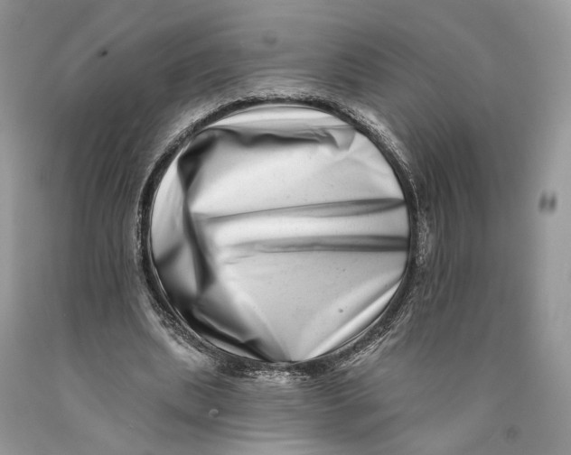 X0000089910439200707201759