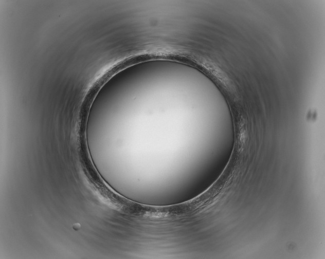 X0000089910440200707201759