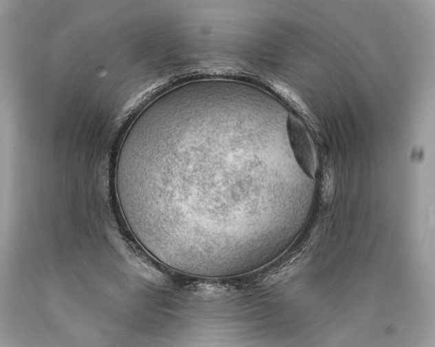 X0000089910442200707201759