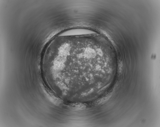 X0000089910443200707201759