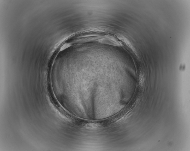 X0000089910444200707201759