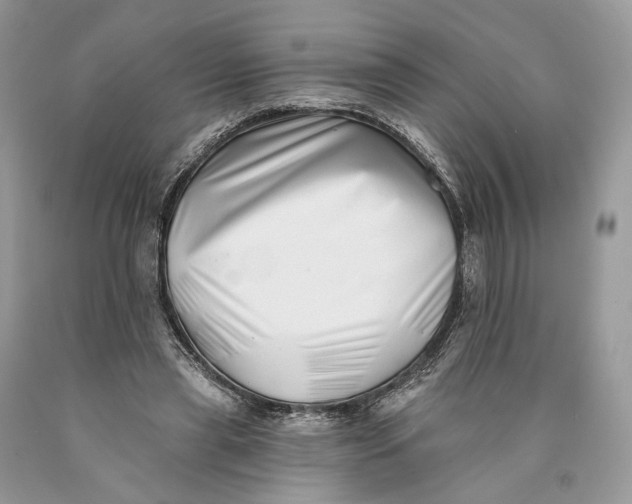 X0000089910445200707201759