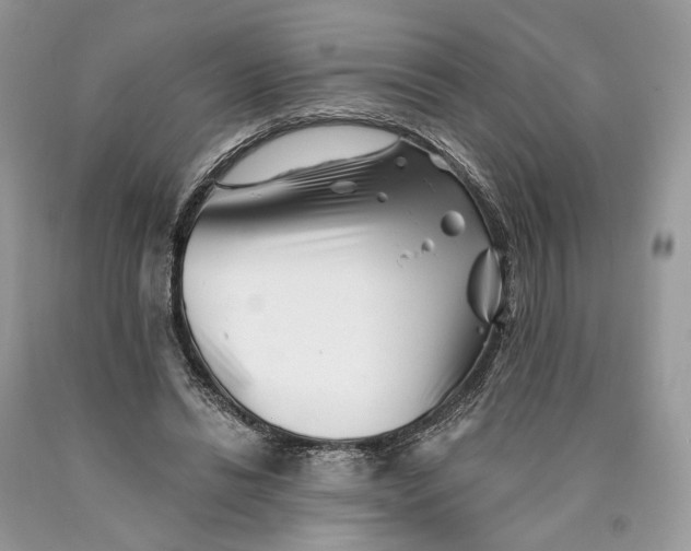 X0000089910446200707201759