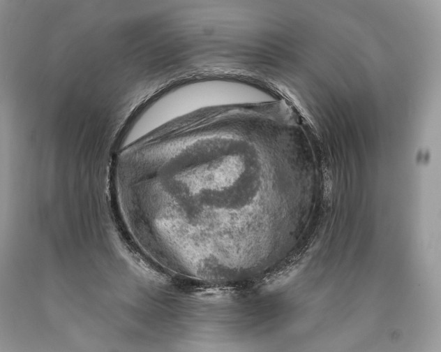 X0000089910447200707201759