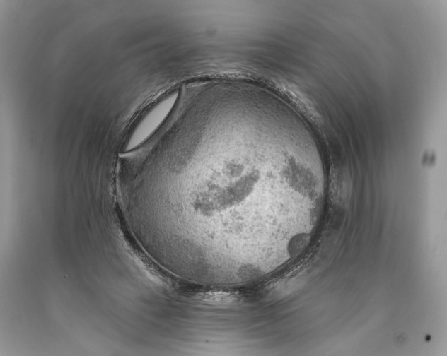 X0000089910449200707201800