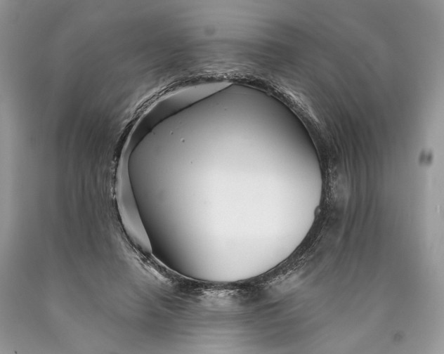 X0000089910450200707201800