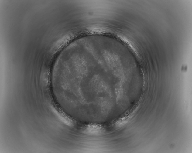 X0000089910451200707201800