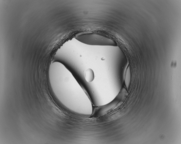 X0000089910452200707201800