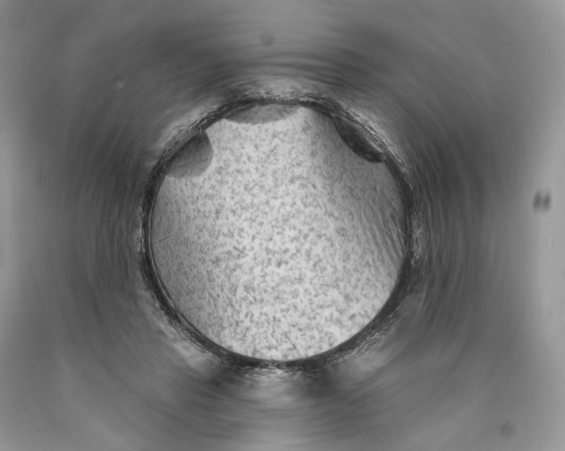 X0000089910453200707201800