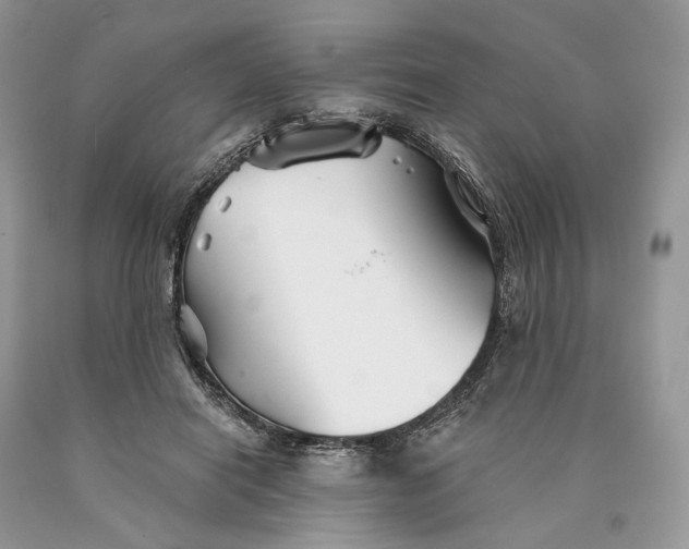 X0000089910454200707201800