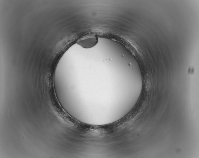 X0000089910455200707201800