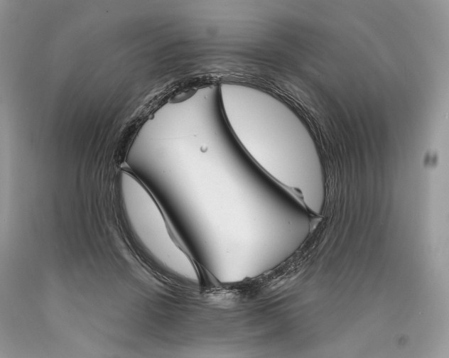 X0000089910456200707201800