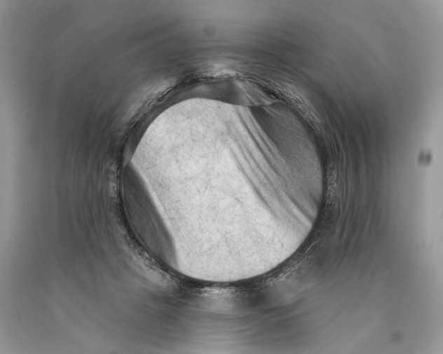 X0000089910457200707201800