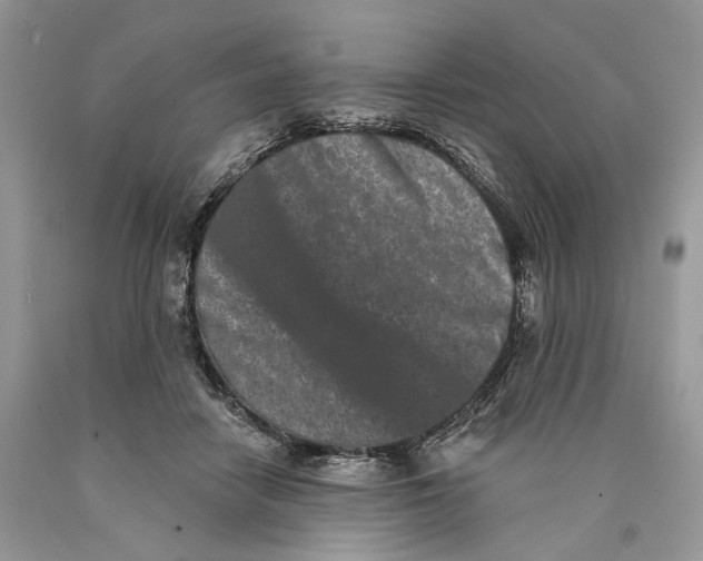 X0000089910458200707201800