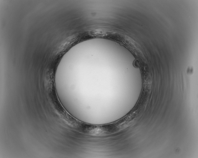 X0000089910460200707201800